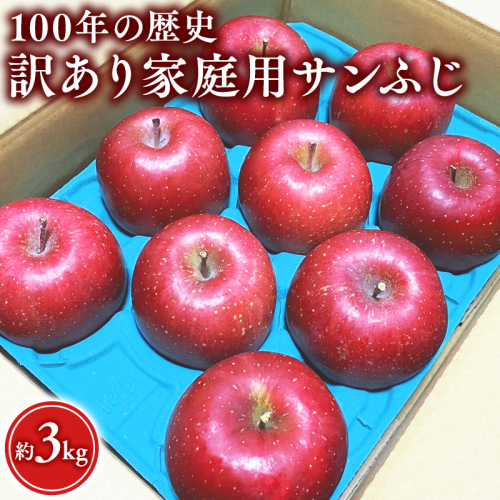 ≪12月発送 ≫100年の歴史 訳あり 家庭用サンふじ 約3kg【田中農園 青森りんご 平川市産】12月発送  青森 平川 りんご リンゴ 林檎 フルーツ  1522775 - 青森県平川市