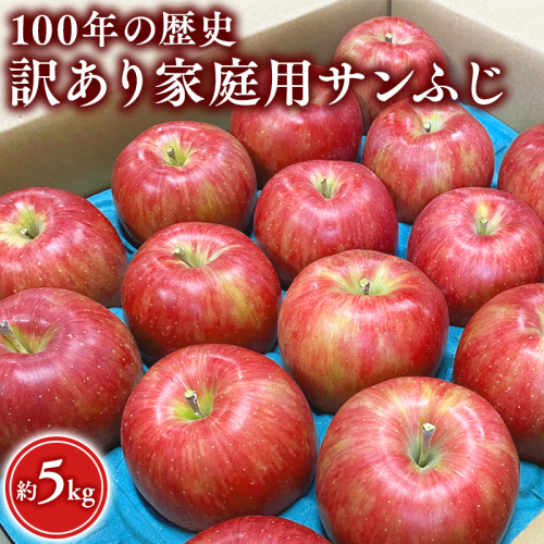 ≪12月発送 ≫ 100年の歴史 訳あり 家庭用サンふじ 約5kg【田中農園 青森りんご 平川市産】12月発送  青森 平川 りんご リンゴ 林檎 フルーツ  1522777 - 青森県平川市