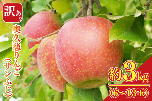 【先行予約】【訳あり】樹上完熟の奥久慈りんご「サンふじ」約3kg（6～14玉）【2025年11月上旬頃より順次発送予定】不揃い 規格外 傷あり 色むら 家庭用｜斉藤りんご園第2直売所 茨城県 大子町 林檎 果物 フルーツ 旬（CG010-1） 1523117 - 茨城県大子町