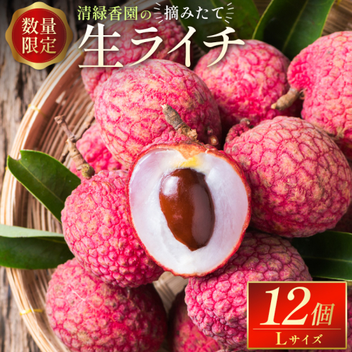 ＜数量限定＞清緑香園の摘みたて「生ライチ」Lサイズ 12個 国産 宮崎県産 先行予約 ※2026年6月中旬～【C235-26】 152362 - 宮崎県新富町