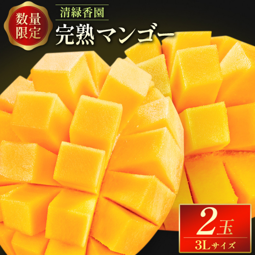 ＜数量限定＞清緑香園 完熟マンゴー 3L×2玉 宮崎県産 果物 フルーツ 先行予約 ※2026年5月下旬～【C233-26】 152363 - 宮崎県新富町