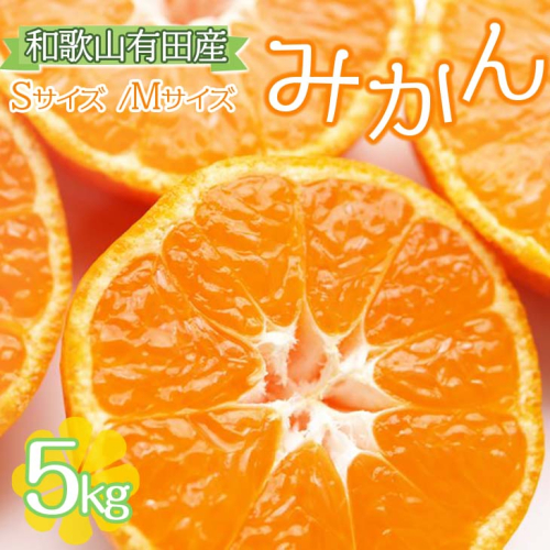 【ご家庭用】和歌山有田みかん約5kg(S、Mサイズ)〇 ｜ みかん 有田みかん 温州みかん ミカン 温州ミカン 柑橘 果物 フルーツ 甘い 先行予約 s m 甘い 5kg ※北海道・沖縄・離島への配送不可 ※2025年11月上旬～2026年1月下旬頃に順次発送予定 152384 - 和歌山県美浜町