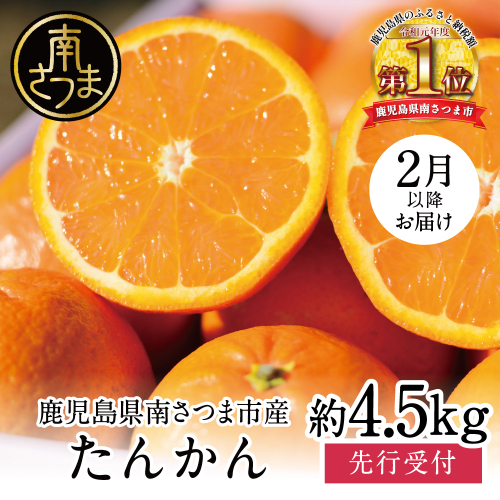 【2026年2月中旬発送開始】鹿児島県産 ブランドたんかん 約4.5kg 柑橘 みかんミカン 蜜柑 かごしまブランド 果物 果実 南国 フルーツ 旬 甘味 ジューシー 期間限定 先行受付 国産 国内産 南さつま市 JA南さつま 152611 - 鹿児島県南さつま市