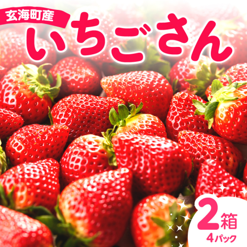 ★予約受付★平川いちご農園 佐賀県玄海町産いちご「いちごさんDX」2025年1月~4月順次配送 1536297 - 佐賀県玄海町
