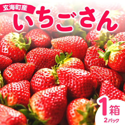 ★予約受付★平川いちご農園 佐賀県玄海町産いちご「いちごさん」2025年1月~4月順次配送 1536298 - 佐賀県玄海町