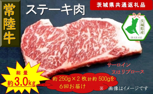 【6か月定期便】【常陸牛】ステーキ用肉 約500g【定期便】計6回 総量約3,000g（茨城県共通返礼品）【常陸牛　茨城県産　日立市】 1537809 - 茨城県日立市