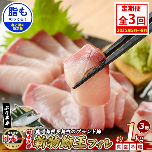 ＜定期便・毎月 全3回＞鰤王フィレ 定期便 長島町特産「鰤王」フィレ 約1.0kg×1枚 鰤 国産 鹿児島県産 産地直送【JFA】jfa-1481B 1539038 - 鹿児島県長島町