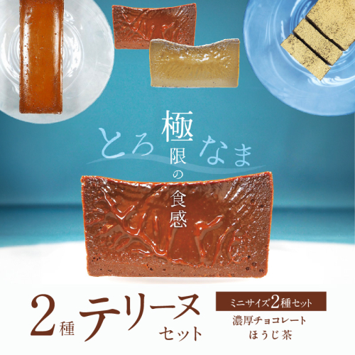 【テリーヌ専門店L】（約２００g）濃厚チョコレート・ほうじ茶2種のテリーヌセット【グルテンフリー・保存料不使用】 スイーツ H173-011 1539260 - 愛知県碧南市