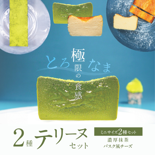 【テリーヌ専門店L】（約２００g）濃厚抹茶・バスク風チーズ2種のテリーヌセット【グルテンフリー・保存料不使用】抹茶 スイーツ 西尾抹茶 H173-014 1541204 - 愛知県碧南市