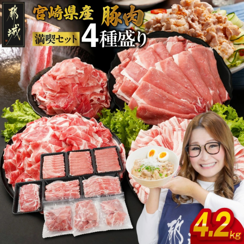 宮崎県産豚肉たっぷり4.7kgセット_AC-N202 1541328 - 宮崎県都城市