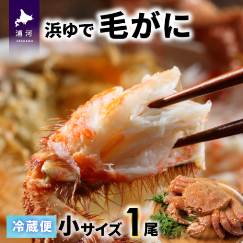 【今が旬！】漁協の浜ゆで毛がに 小サイズ１尾※日付指定対応不可※[02-1413] 1542639 - 北海道浦河町