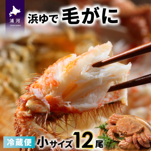 【今が旬！】漁協の浜ゆで毛がに 小サイズ12尾セット※日付指定対応不可※[02-1415] 1542644 - 北海道浦河町