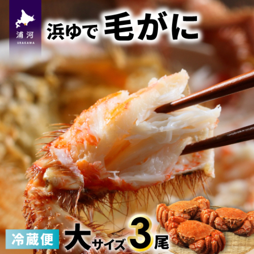 【今が旬！】漁協の浜ゆで毛がに 大サイズ３尾※日付指定対応不可※[02-1416] 1542690 - 北海道浦河町