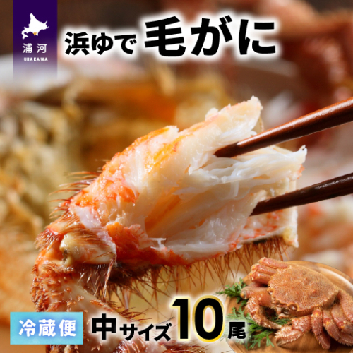 【今が旬！】漁協の浜ゆで毛がに 中サイズ10尾※日付指定対応不可※[02-1418] 1542694 - 北海道浦河町
