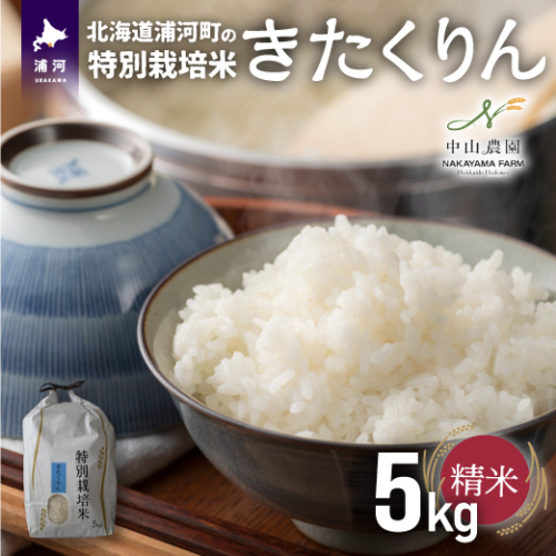 【先行受付開始！】浦河の特別栽培米「きたくりん」精米(5kg×1袋)[37-1370] 1543192 - 北海道浦河町