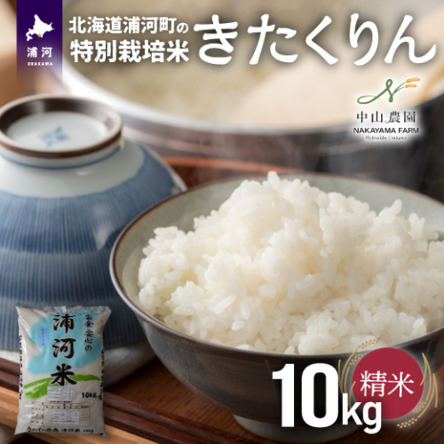 【先行受付開始！】浦河の特別栽培米「きたくりん」精米(10kg×1袋)[37-1371] 1543196 - 北海道浦河町