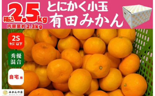 みかん とにかく小玉 箱込 2.5kg ( 内容量約2.3kg) 2Sサイズ以下 秀品 優品 混合 有田みかん 和歌山県産 産地直送 家庭用 ［2025年11月中旬より2026年1月中旬頃順次出荷予定］［みかんの会］　 1546767 - 和歌山県有田川町