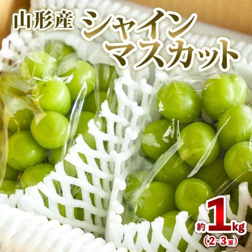 山形産 シャインマスカット 約1kg (2～3房) 秀品 【令和7年産先行予約】FS24-732 1547543 - 山形県山形市