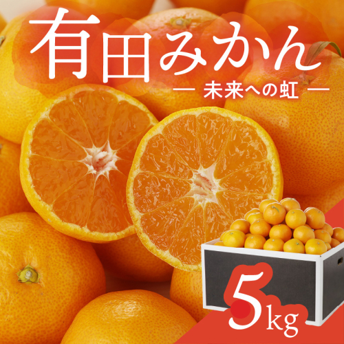 973.有田みかん「未来への虹」（5kg）(A973-2)  1547858 - 和歌山県有田市