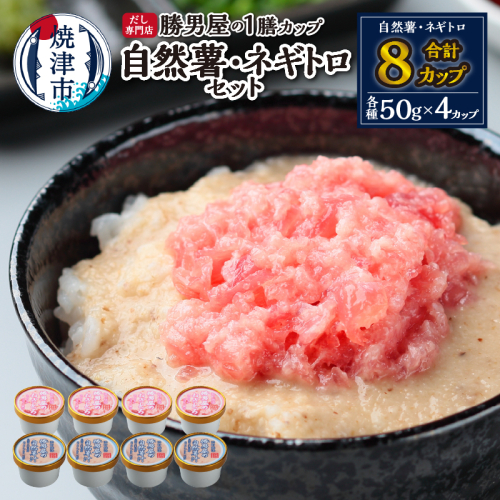 a12-224　だし専門店「勝男屋」の一膳とろトロ 自然薯・ネギトロセット 1548915 - 静岡県焼津市