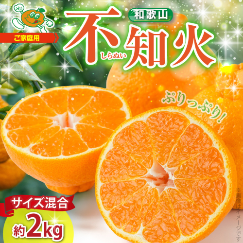 ZJ6071_【2026年先行予約】不知火(しらぬい) オレンジ みかん 2kg 訳あり ご家庭用 サイズ混合 1549495 - 和歌山県湯浅町