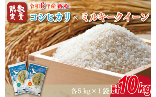 【2025年9月中旬より順次発送】★新米★R7年産 コシヒカリ 5kg+ミルキークイーン 5kg｜米 お米 白米 精米 新米 R7年産 令和7年産 コシヒカリ こしひかり ミルキークイーン 食べ比べ 数量限定 茨城県 茨城県産 行方市(HA-21)