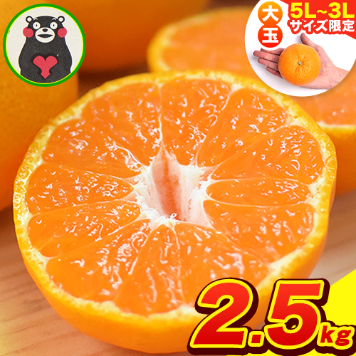 ご家庭用 熊本 大粒みかん 約2.5kg (3L～5Lサイズ)大玉 みかん 先行予約 熊本 ちょっと 訳あり 傷 たっぷり 熊本県産 熊本県 期間限定 フルーツ 旬 柑橘 長洲町 大粒みかん《2026年1月中旬-2月末頃出荷》 1557735 - 熊本県長洲町