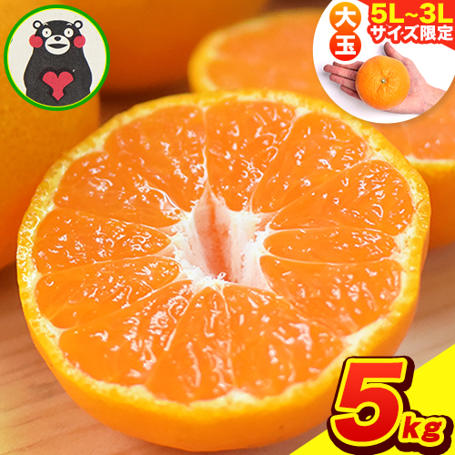 ご家庭用 熊本 大粒みかん 約5kg (3L～5Lサイズ)大玉 みかん 先行予約 熊本 ちょっと 訳あり 傷 たっぷり 熊本県産 熊本県 期間限定 フルーツ 旬 柑橘 長洲町 大粒みかん《2026年1月中旬-2月末頃出荷》 1557739 - 熊本県長洲町
