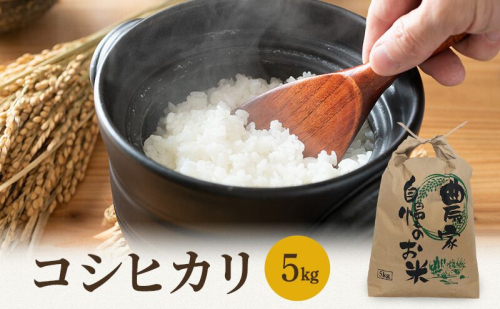 米 令和7年 コシヒカリ 5kg 一等米 お米 おこめ こめ コメ 白米 精米 新米 ご飯 ごはん 山心ファーム 福井県 福井  155798 - 福井県若狭町