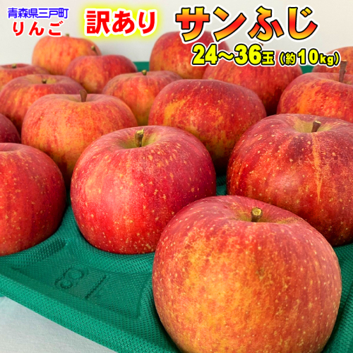 【訳あり】りんご「サンふじ」24～40玉（約10kg）【2025年産・先行予約】★2026年1月以降順次発送予定★青森県 三戸町 156171 - 青森県三戸町