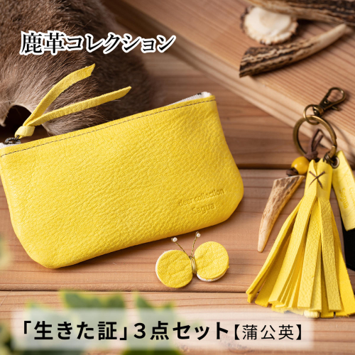 AN15　 鹿革コレクション「生きた証」蒲公英3点セット 156266 - 兵庫県宍粟市