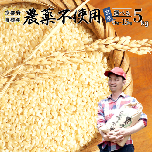 【令和7年度産 新米 先行予約】 棚田米 玄米 5kg 栽培期間中農薬不使用 コシヒカリ こしひかり お米 健康 おにぎり お弁当 京都 舞鶴 農家直送 156336 - 京都府舞鶴市