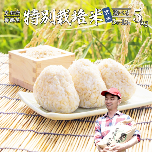【令和7年度産 新米 先行予約】 棚田米 玄米 5kg コシヒカリ 特別栽培米 京都産 農家直送 こしひかり 減農薬 低農薬 げんまい お米 ご飯 米 棚田 健康 156339 - 京都府舞鶴市