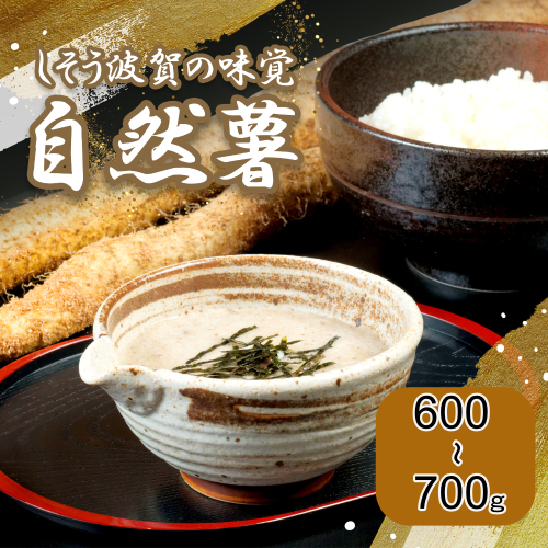 K7【令和6年産　先行受付】しそうの自然薯 156342 - 兵庫県宍粟市