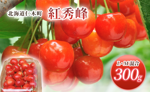 [先行受付] 北海道 仁木町産 サクランボ 紅秀峰 300g（300g×1パック） L-Mサイズ  さくらんぼ チェリー 果物 くだもの フルーツ [松山商店] 1564976 - 北海道仁木町