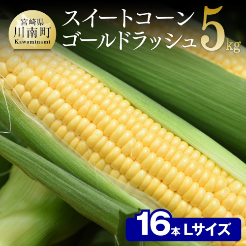 【令和8年発送】宮崎県産とうもろこし　朝どれ！守部さんちのゴールドラッシュ (L)5kg 【 とうもろこし スイートコーン トウモロコシ スィートコーン 令和8年発送 】 156500 - 宮崎県川南町