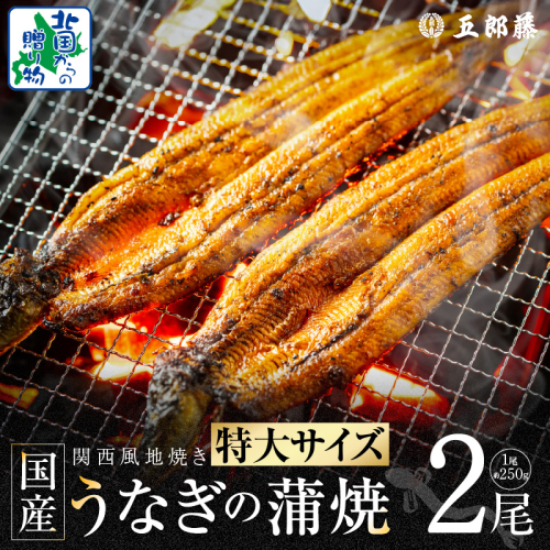 【ビッグサイズ】老舗五郎藤 国産 旨鰻 250g×2尾【関西風地焼き 特大 うなぎ ウナギ 蒲焼き 炭火 数量限定 有頭 北国からの贈り物 厳選】 015B385 1565325 - 大阪府泉佐野市