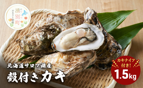 北海道 サロマ湖産 殻付き カキ 1.5kg カキナイフ付 牡蠣 海鮮 魚介 国産 貝付き 生牡蠣 生食 焼き牡蠣 蒸し牡蠣  1570090 - 北海道湧別町
