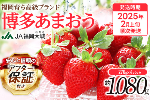 【アフター保証】博多あまおう 福岡県JAグループのブランド あまおういちご 1080g（約270g×4パック）JA福岡大城【2026年2月中旬から順次発送】AG010 157255 - 福岡県大木町