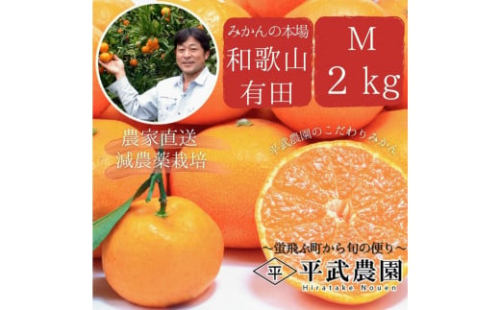 農家直送！有田みかん（2kg Mサイズ 秀品）平武農園　～蛍飛ぶ町から旬の便り～ 1573611 - 和歌山県有田川町