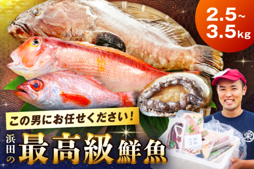 どんちっち浜田【輝き】鮮魚～最高級この男シリーズ～ 海鮮 鮮魚 詰め合わせ【006_2015】 1574054 - 島根県浜田市