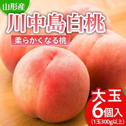川中島 白桃 秀品 大玉 ６個入 1箱 1.8kg以上[やわらかくなる桃] 【令和7年産先行予約】FU21-007 157509 - 山形県山形市