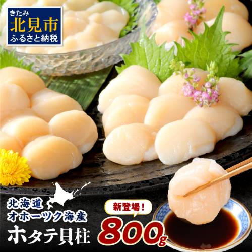【2025年8月発送】北海道オホーツク海産 ホタテ貝柱 800g 生食用 ( 海鮮 魚介 魚介類 貝 貝類 帆立 ほたて お刺身 刺身 貝柱 海鮮丼 帆立貝柱 人気 ふるさと納税 ホタテ )【037-0011】 1578133 - 北海道北見市