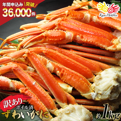 訳あり ボイル ずわいがに 肩付き脚 総重量1kg [カネダイ 宮城県 気仙沼市 20564325] カニ かに 魚介類 ズワイガニ ずわい蟹 ズワイ蟹 ずわい ズワイ 蟹 カニ カニ脚 蟹脚 不揃い 規格外 海鮮 ご褒美 157851 - 宮城県気仙沼市
