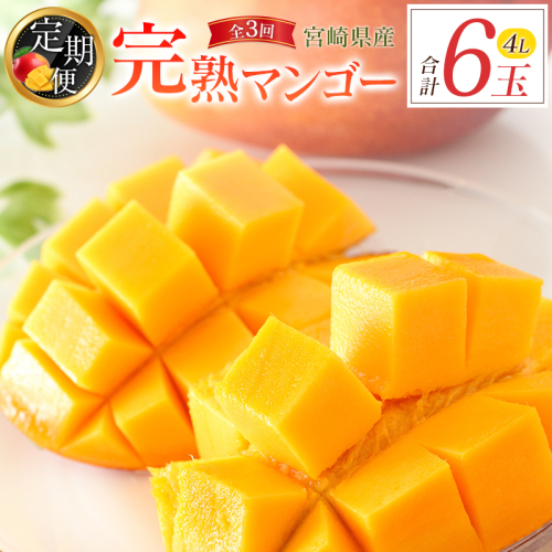 宮崎特産「完熟マンゴー4L×2玉」お届け定期便（全3回）計6玉 特産 国産 果物 フルーツ 旬 産地直送 大玉【F142-26】 1580546 - 宮崎県新富町
