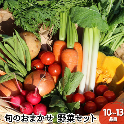 野菜 セット 詰め合わせ GP 元氣パワー 株式会社 元氣パートナーズ 食品 やさい 無農薬 15843 - 埼玉県鳩山町