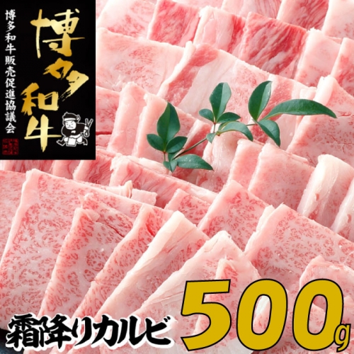 A1368.【博多和牛】A４・Ａ５等級こくうま霜降りカルビ焼肉５００ｇ【限定２万パック】早いもの勝ち！ 158460 - 福岡県新宮町