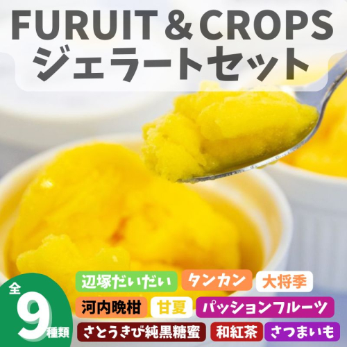 <先行予約受付中!2025年5月より準備が整い次第順次発送予定> 南のくだもの王国 南のFRUIT&CROPS ジェラート セット (9種 9個入り) 1586051 - 鹿児島県肝付町