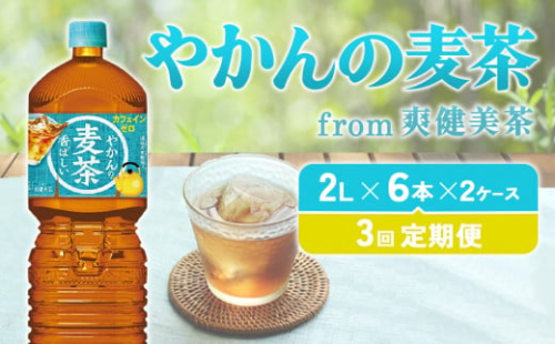 【3回定期便】 やかんの麦茶 from 爽健美茶 PET (2L×6本)×2ケース【コカコーラ】麦茶 お茶 ノンカフェイン 水分補給 こども 美容 むくみ 1587920 - 宮崎県えびの市