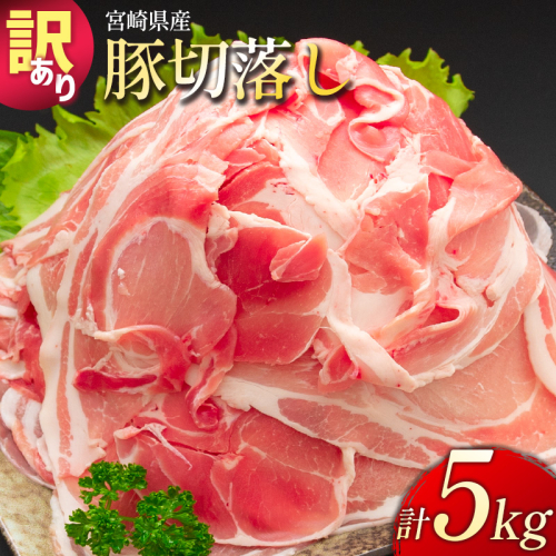 <配送月が選べる!!>「訳あり」宮崎県産 豚切落し 5kg【C325】 1589653 - 宮崎県新富町